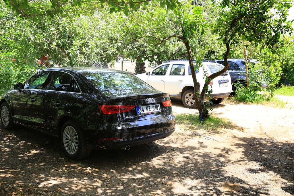 Zeytin Holiday park *