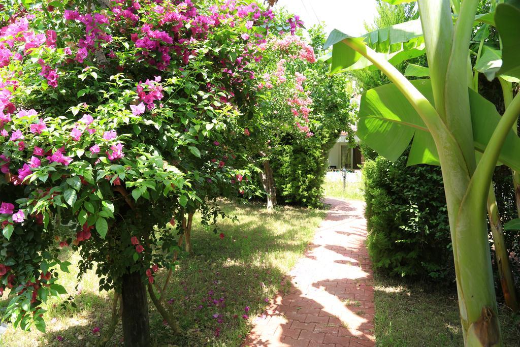 Zeytin Holiday park Cirali