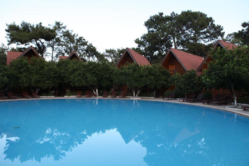 Hotel Woodline 3*