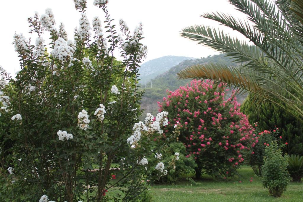 Guest house Hemerans Anatolia Cirali