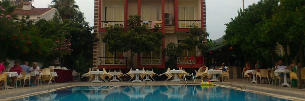 Paradise 3*