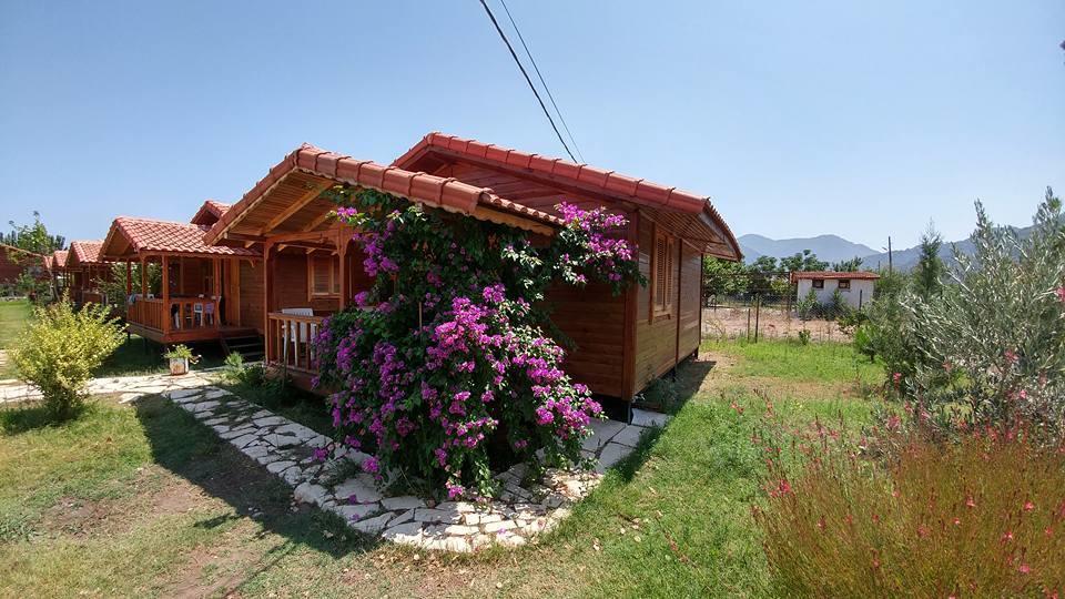 Servet Cirali