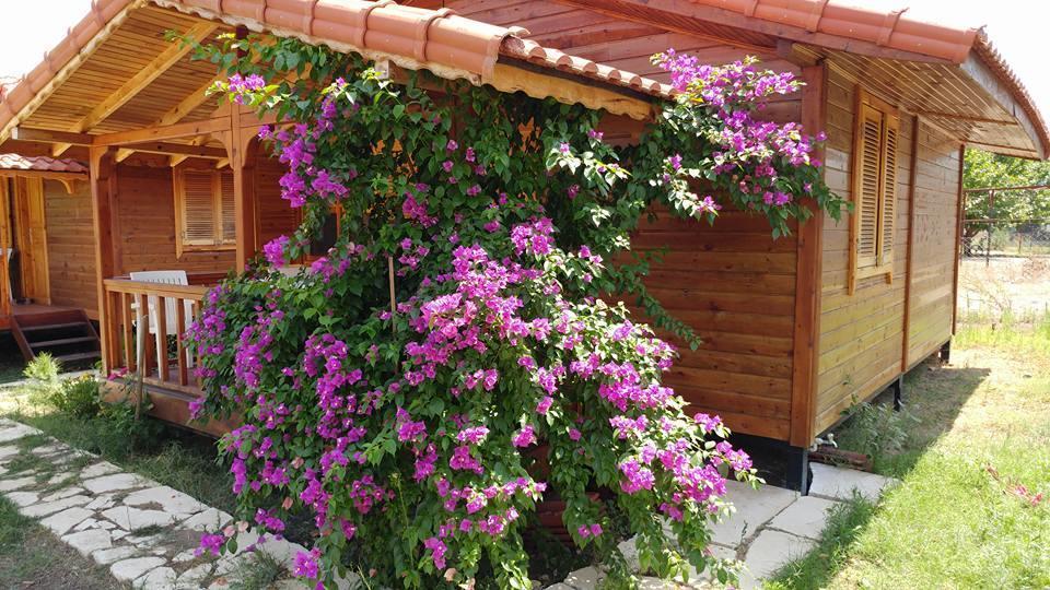 Servet * Cirali