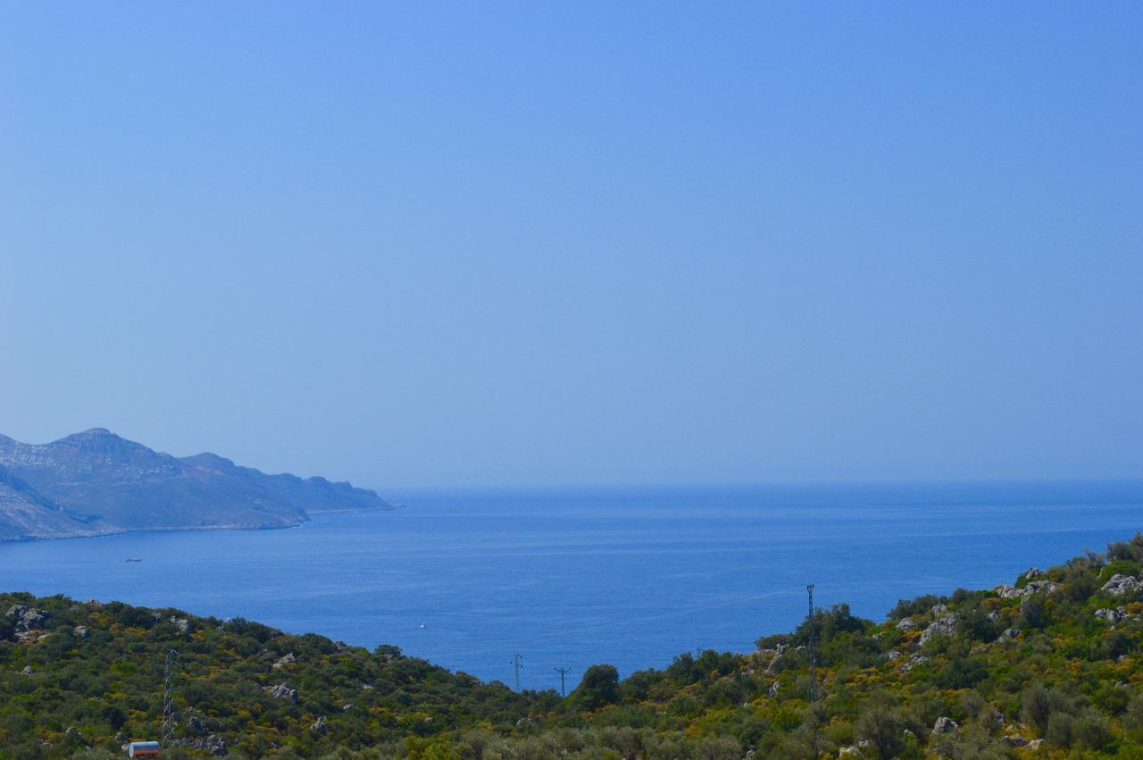 Miramar Guest house 4*