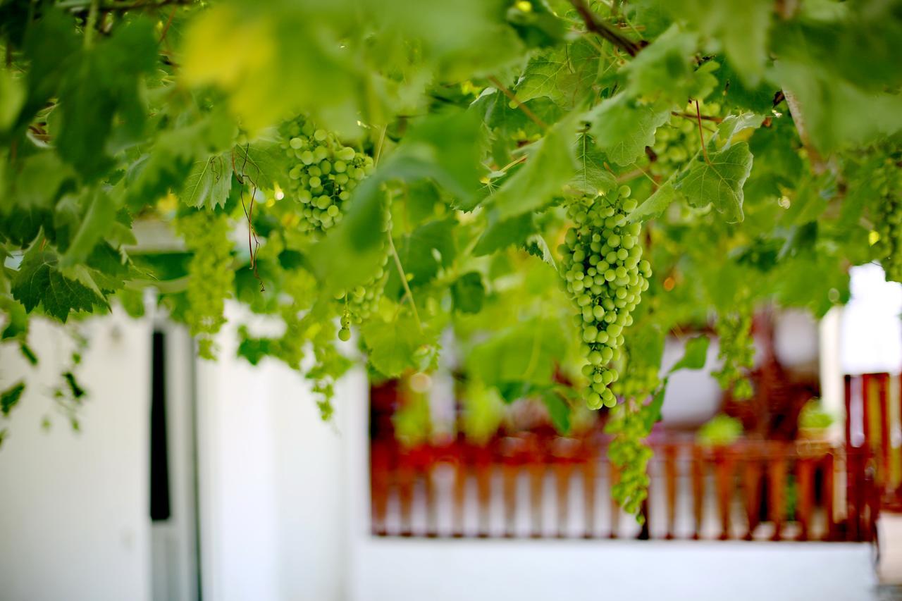 Guest house Sulo Patara