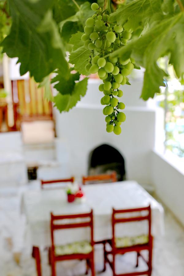 Guest house Sulo
