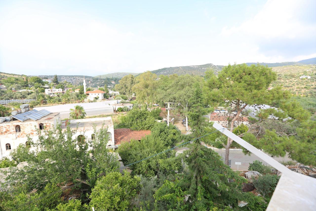 Sulo Guest house