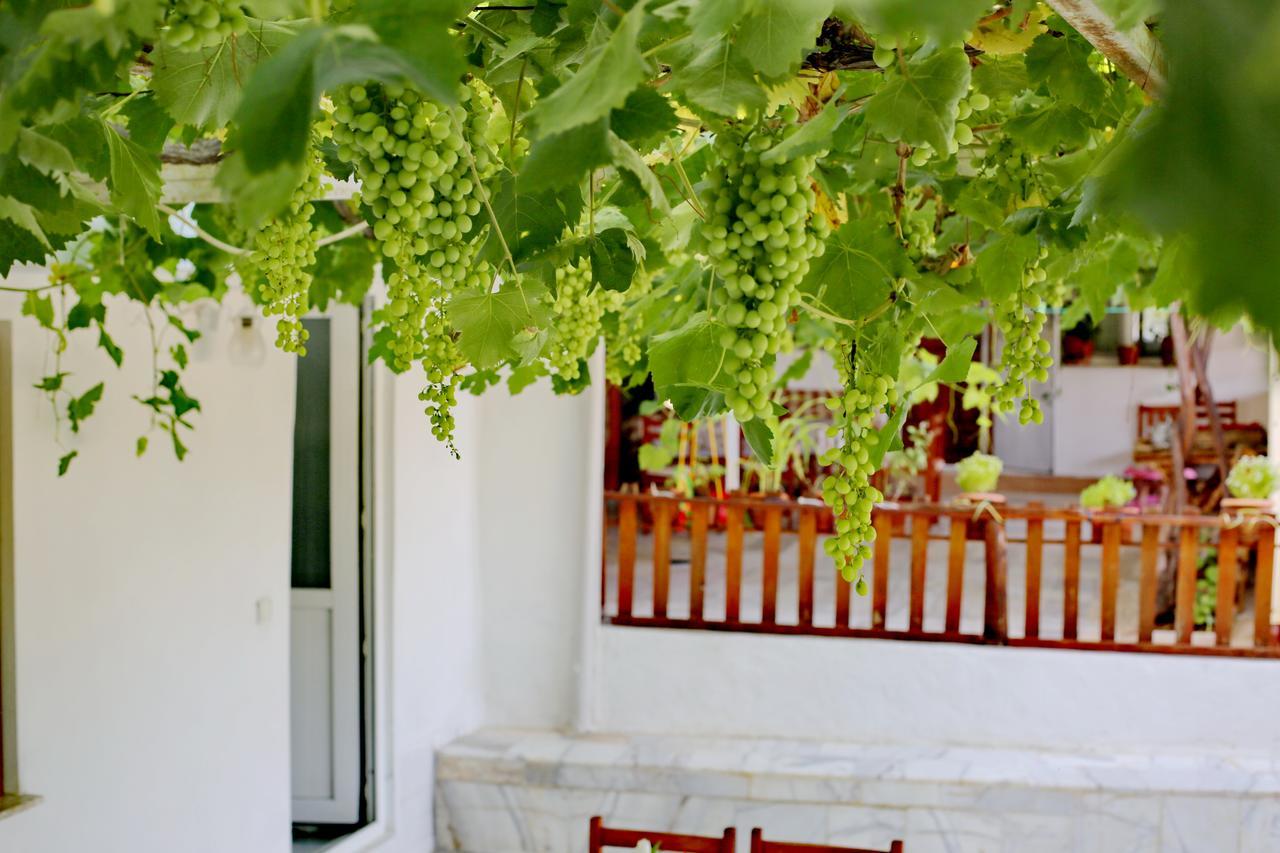 Guest house Sulo *