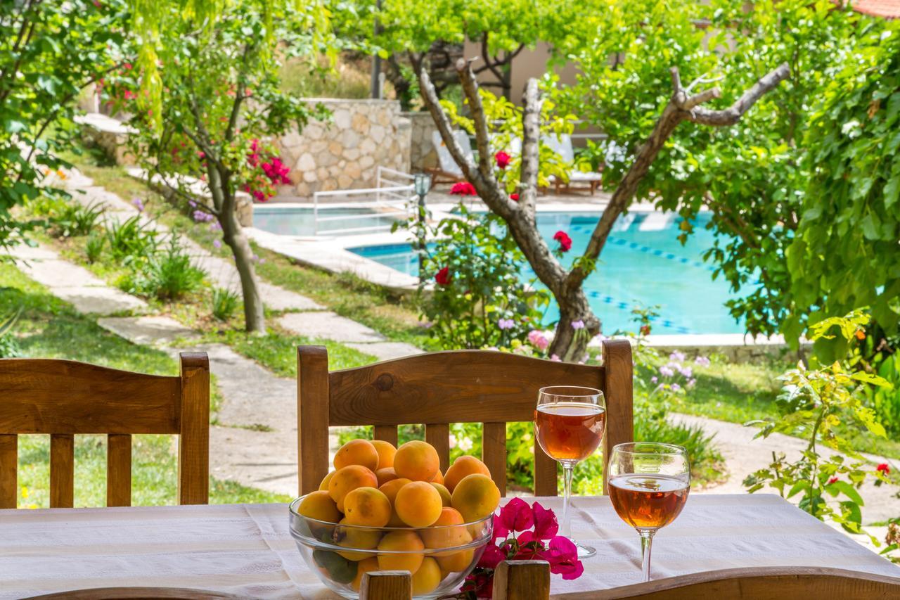 Kleo * Kalkan