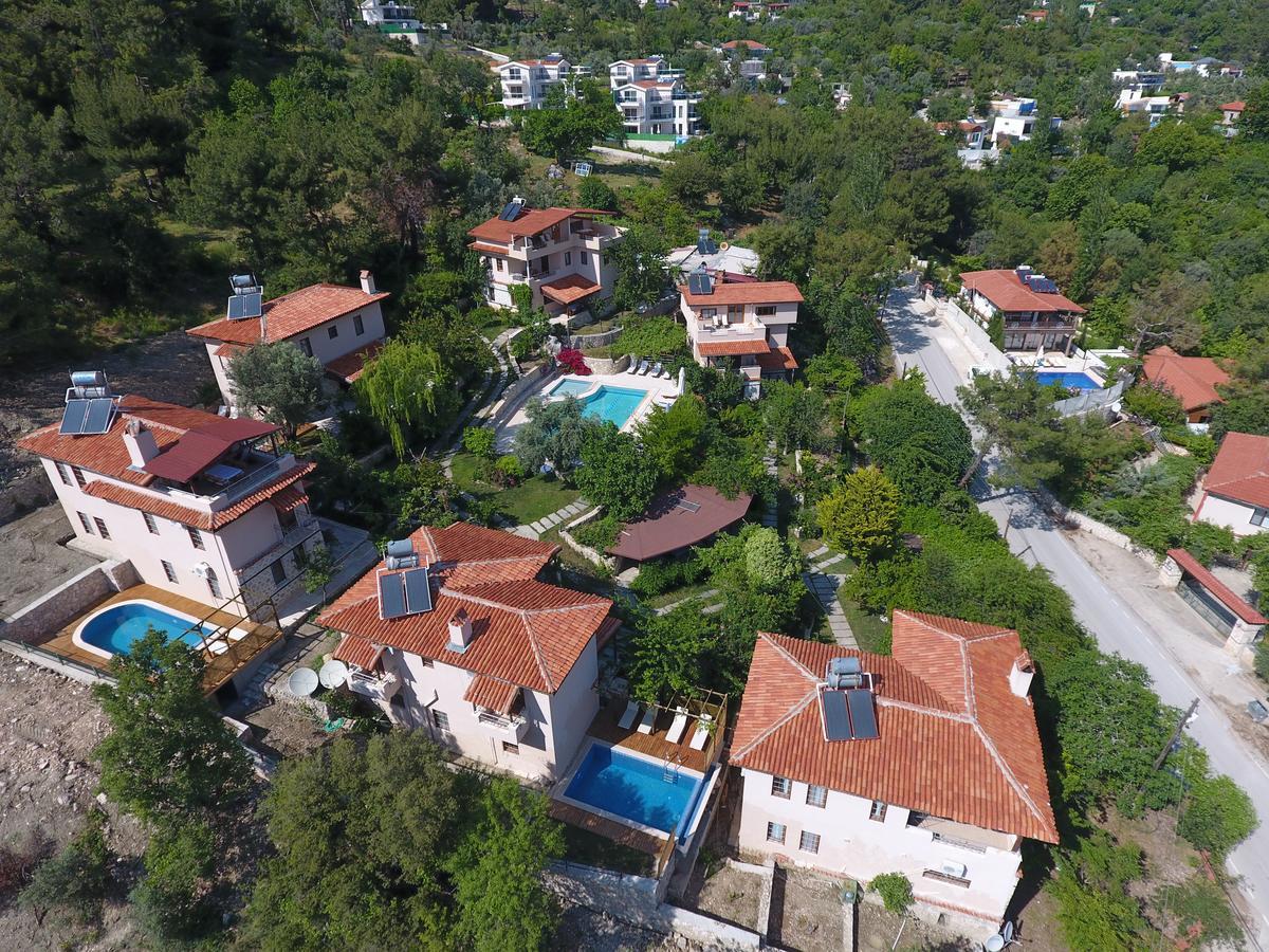 Kleo Kalkan