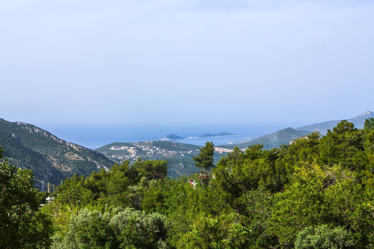 Kleo * Kalkan