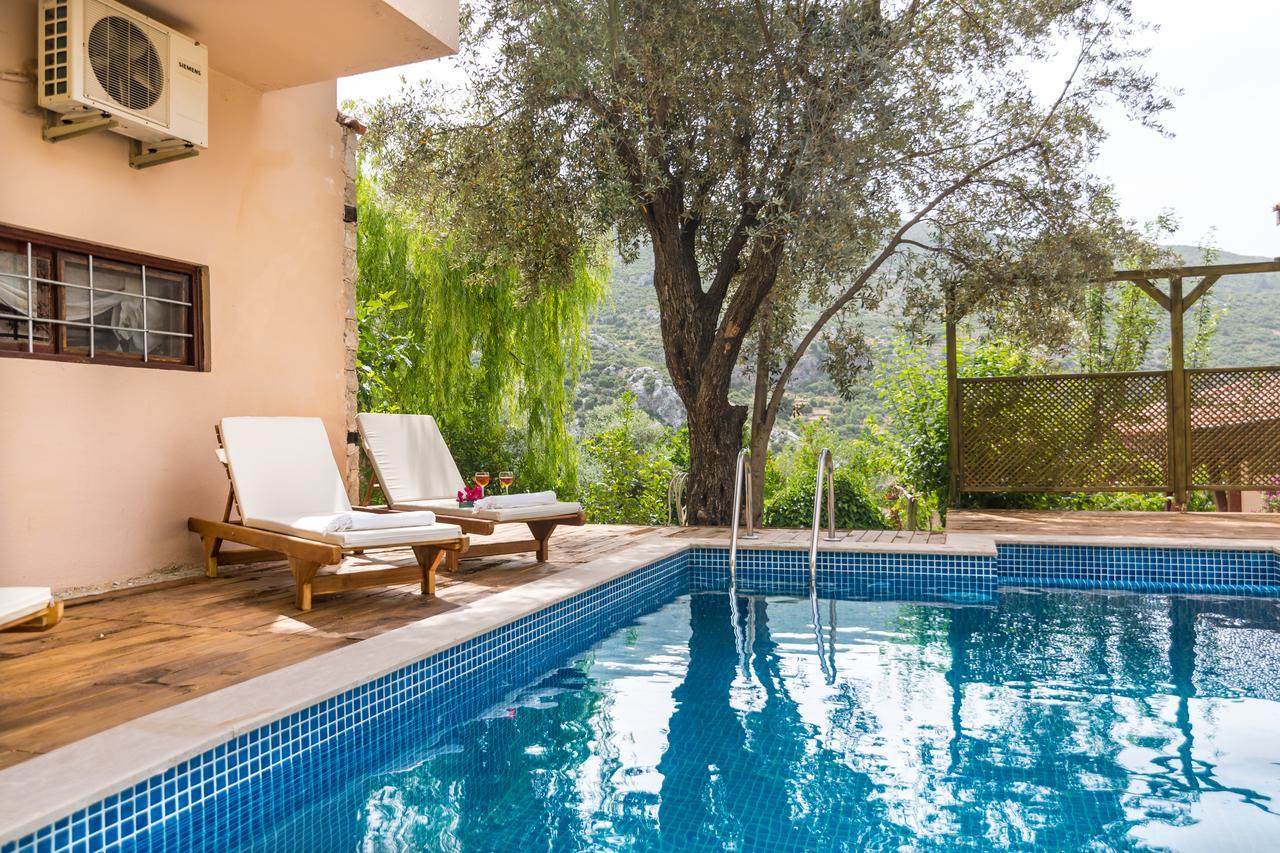 Kleo * Kalkan