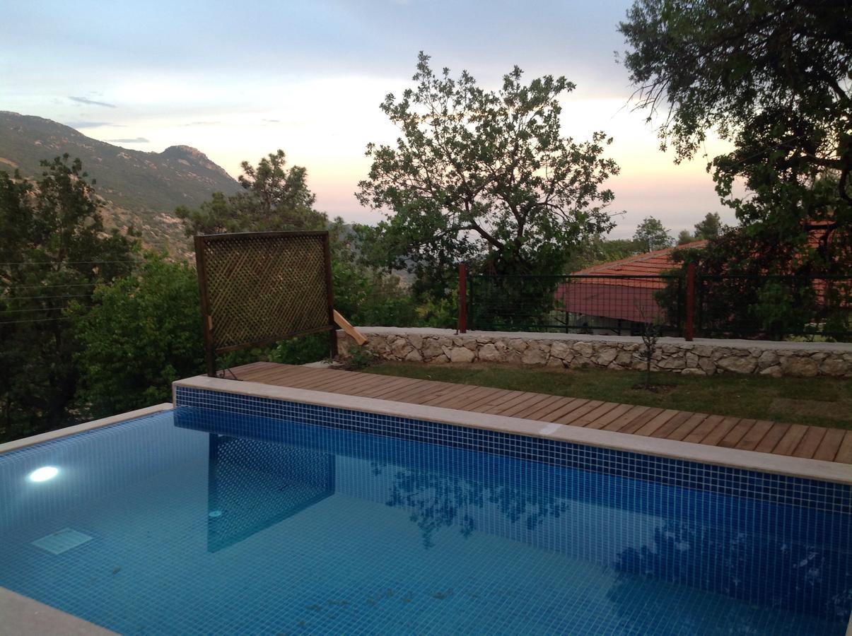 Kleo * Kalkan
