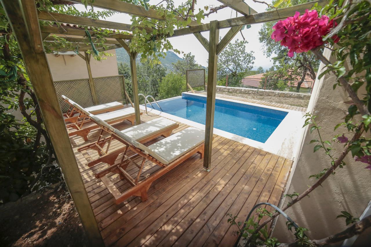 Kleo * Kalkan