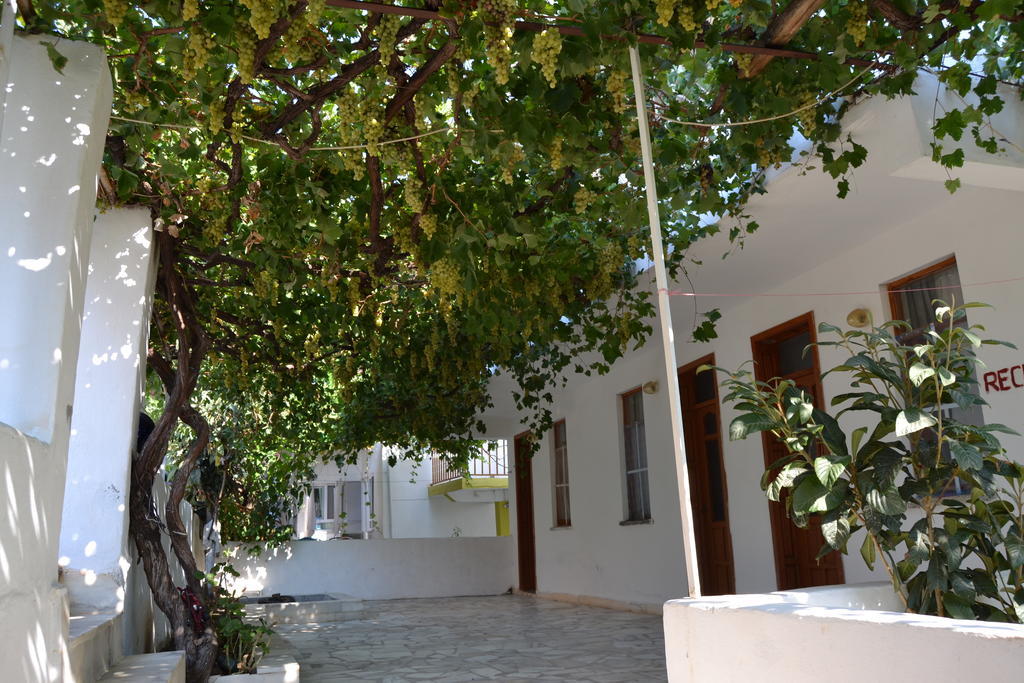 Sulo Guest house