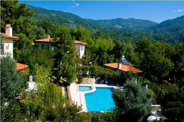 Kleo * Kalkan