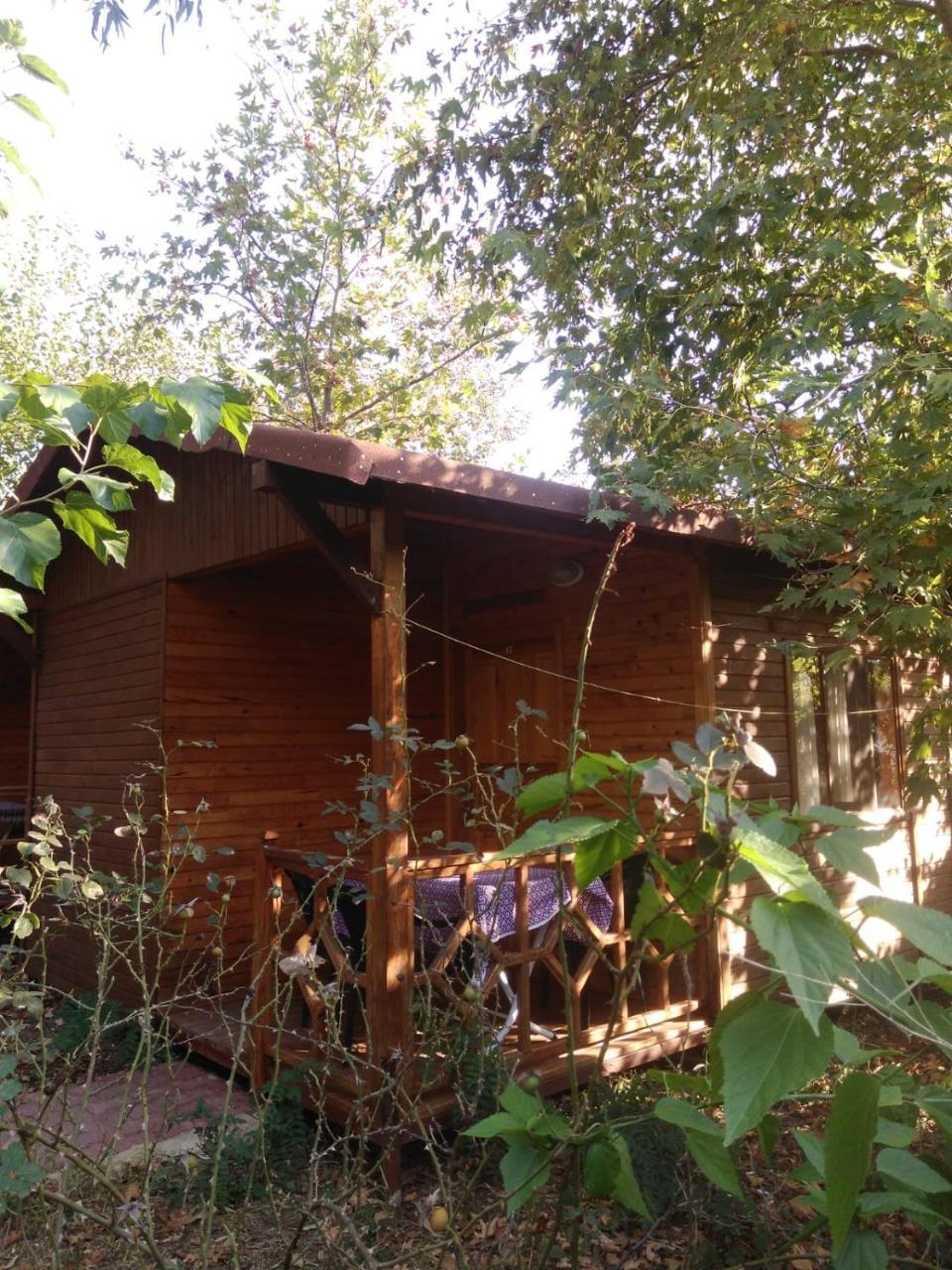 Fire Hotel
