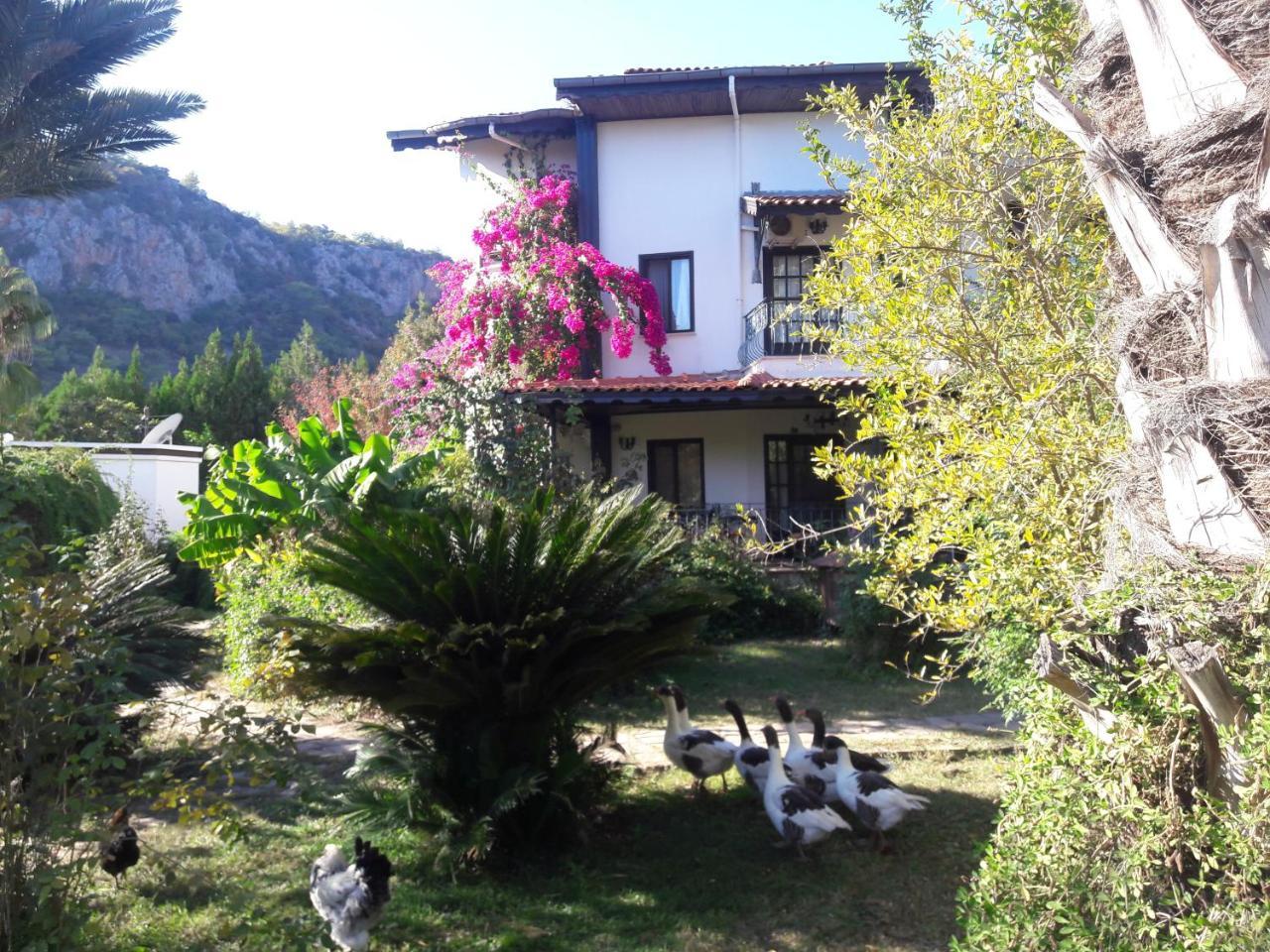 Hemerans Anatolia Guest house Cirali