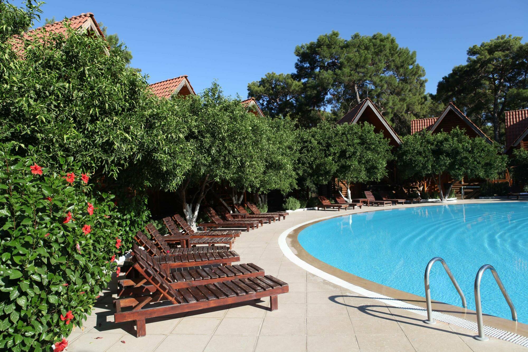 Woodline Hotel 3*