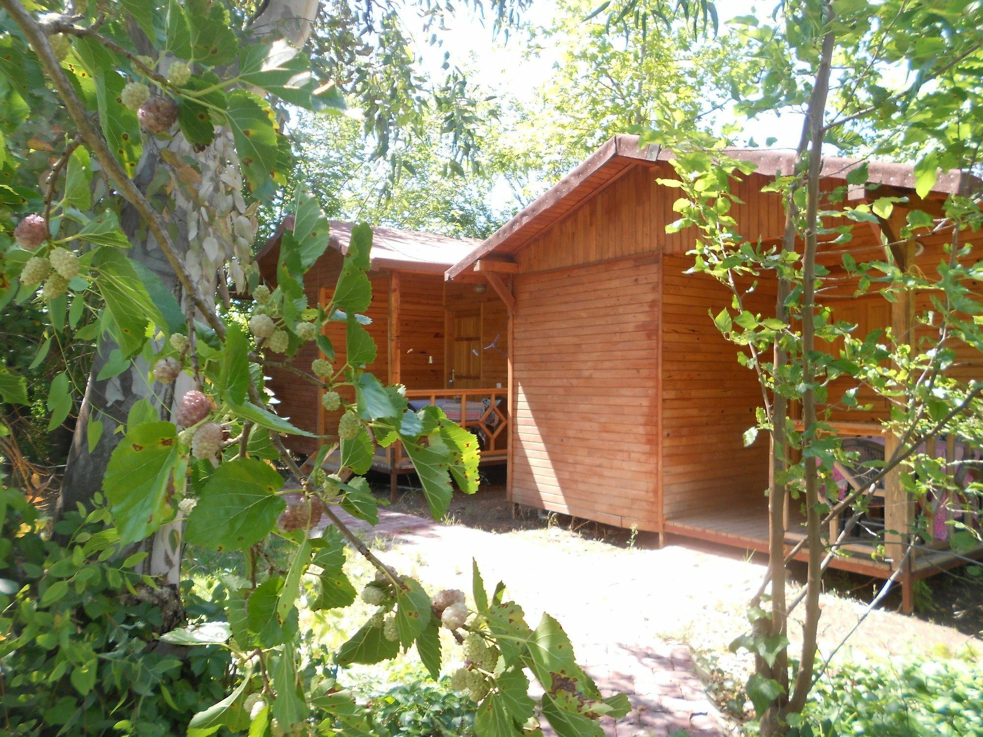 Fire Hotel Cirali
