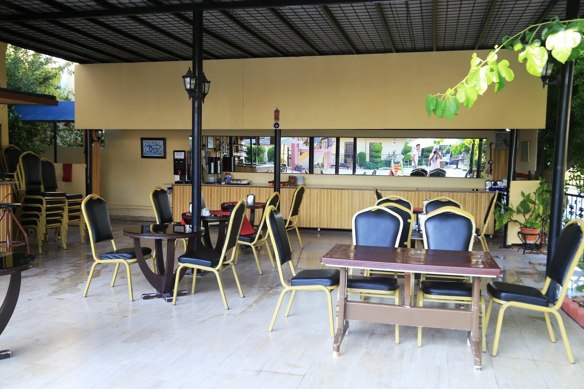 Palmeras Camyuva