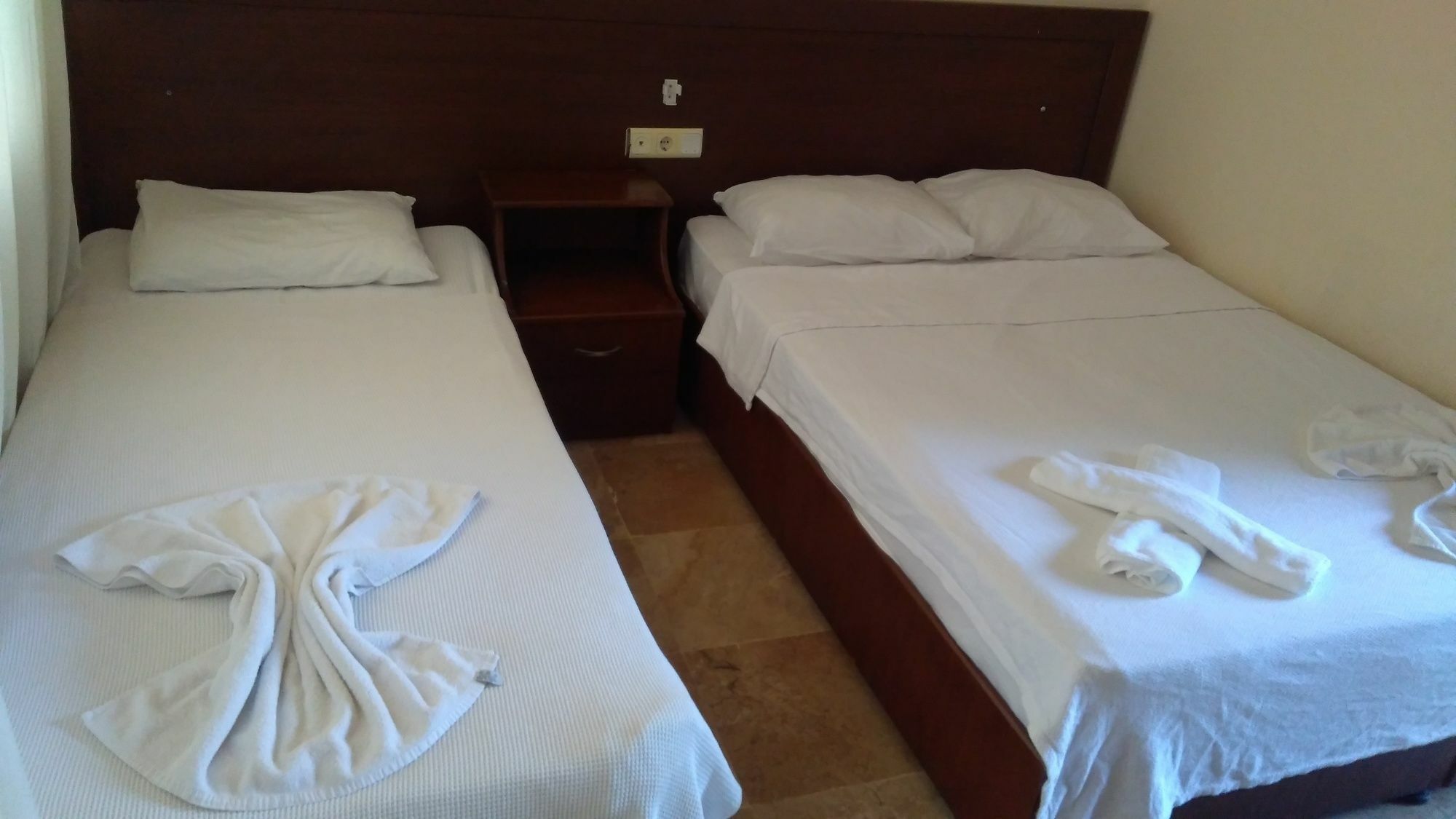 Palmeras 2*