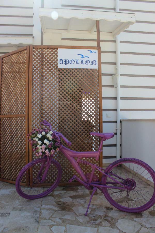 Apollon Kalkan