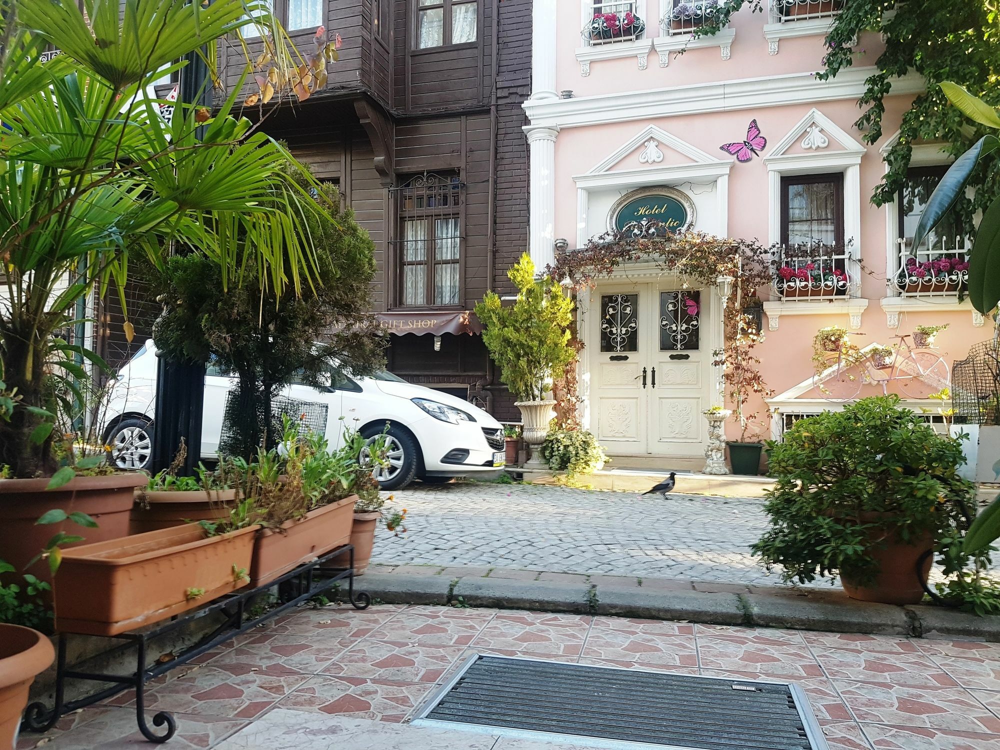 Oceans 7 Hotel 3*