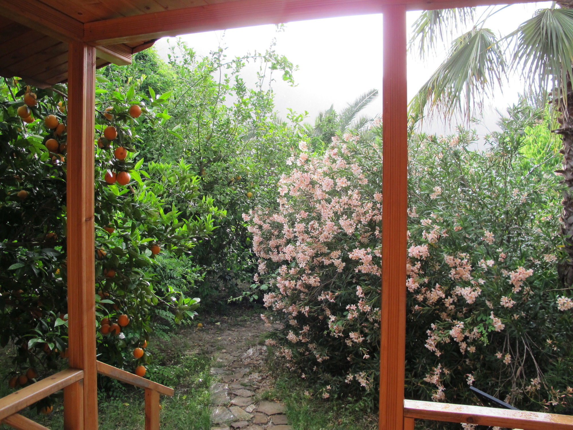 Hemerans Anatolia Guest house Cirali