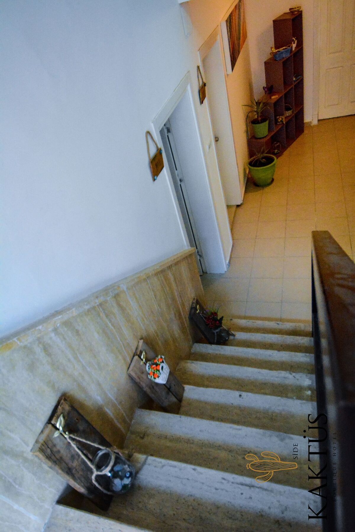Hotel Kaktues Boutique *
