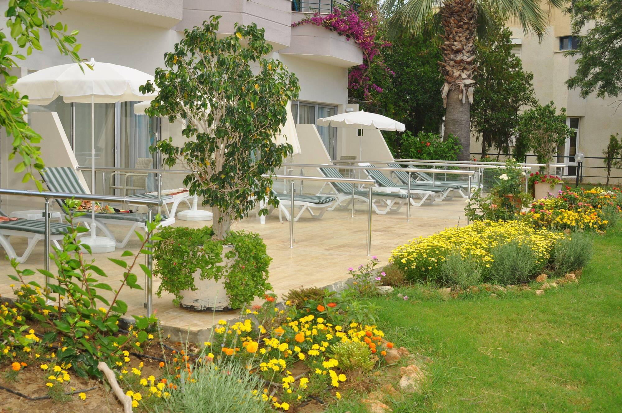 Aska Just In Resort